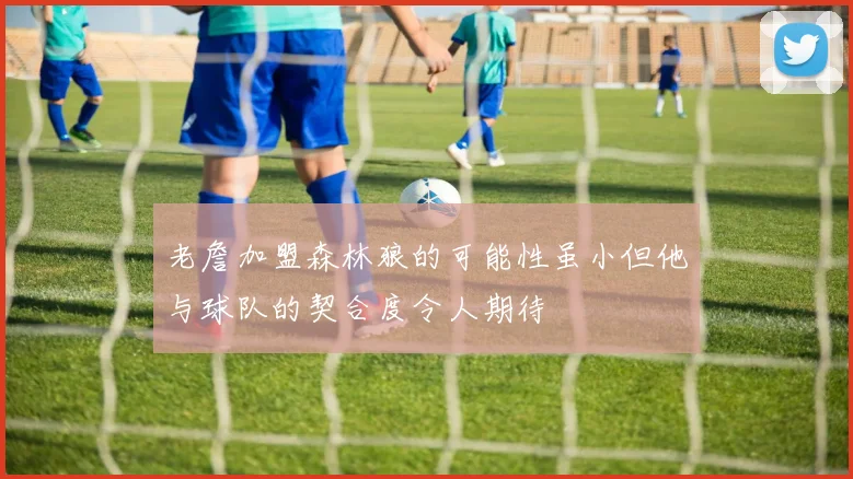 老詹加盟森林狼的可能性虽小但他与球队的契合度令人期待