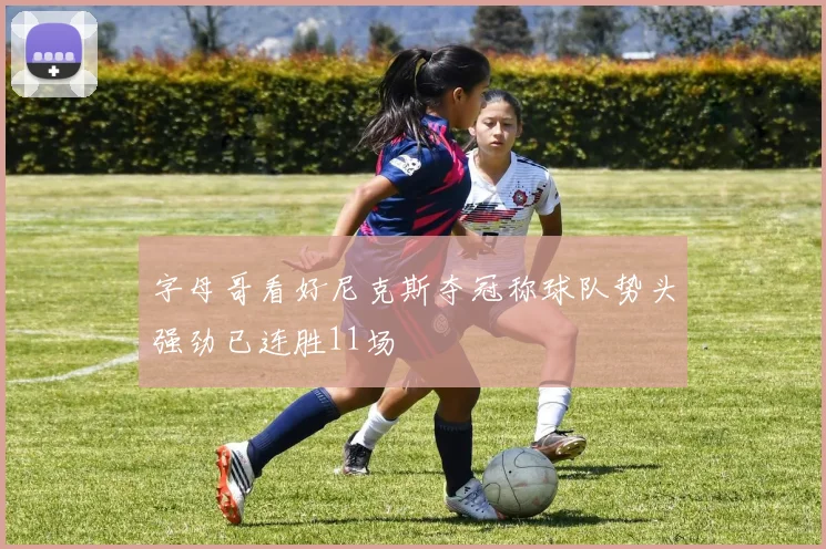 字母哥看好尼克斯夺冠称球队势头强劲已连胜11场