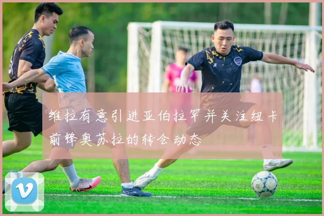 维拉有意引进亚伯拉罕并关注纽卡前锋奥苏拉的转会动态
